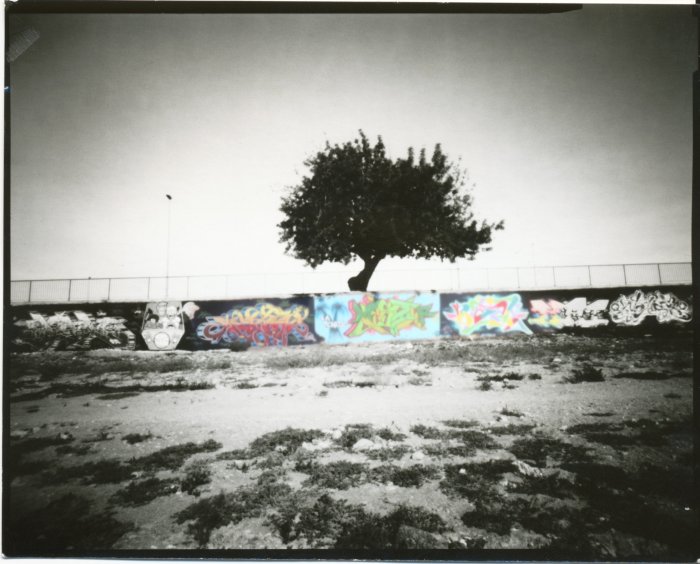 pinhole photograph