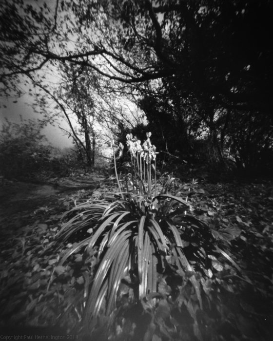 pinhole photograph