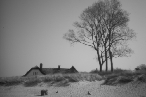 pinhole photograph