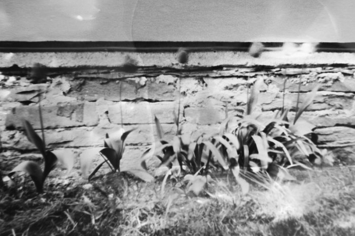 pinhole photograph