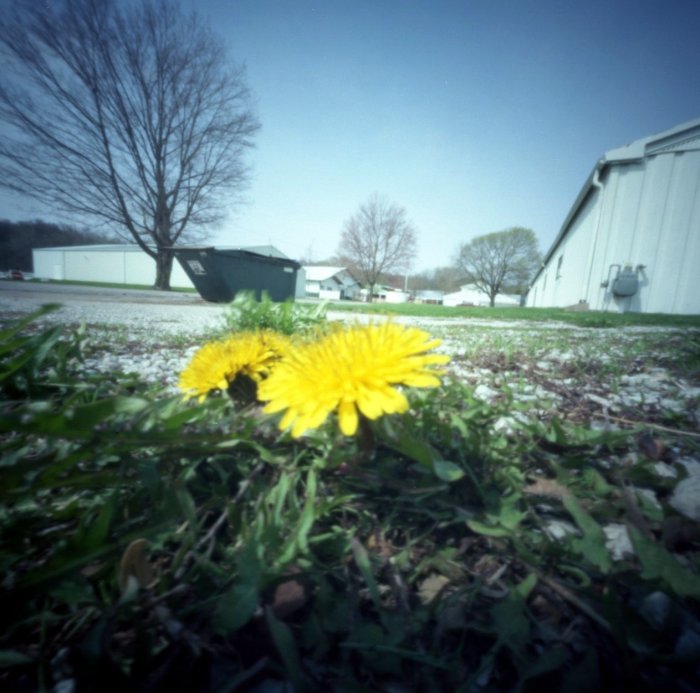 pinhole photograph