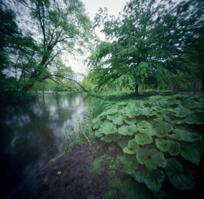 pinhole photograph