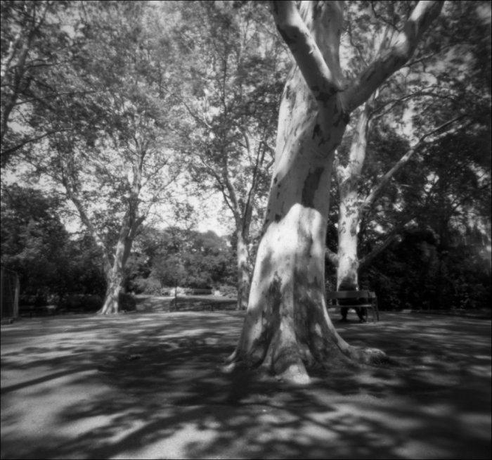 pinhole photograph