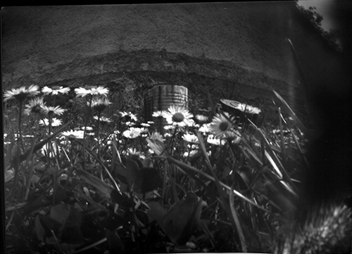 pinhole photograph