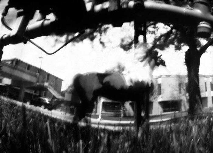 pinhole photograph