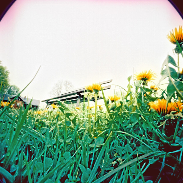 pinhole photograph