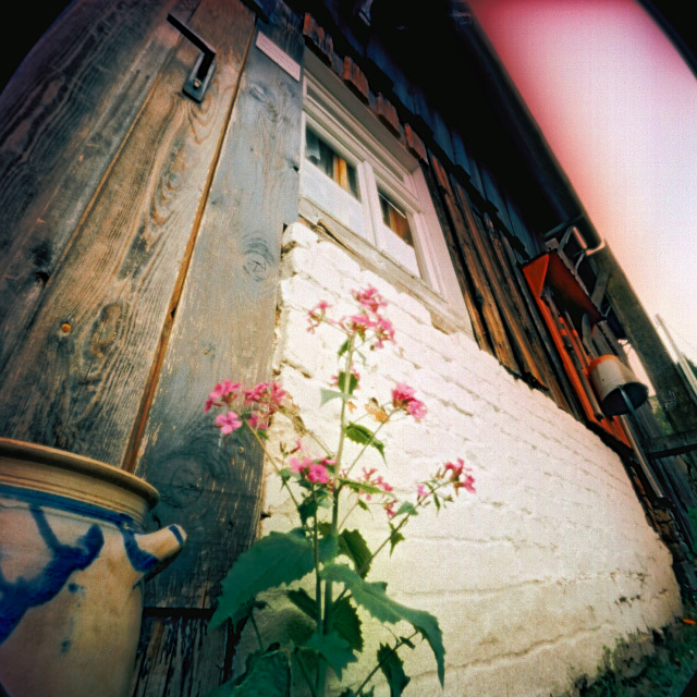 pinhole photograph