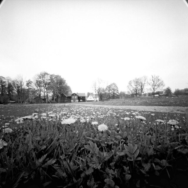 pinhole photograph
