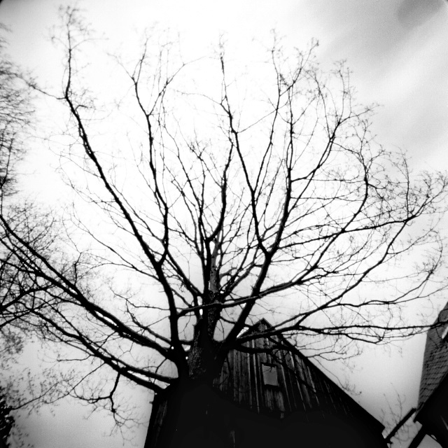 pinhole photograph