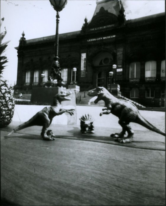pinhole photograph