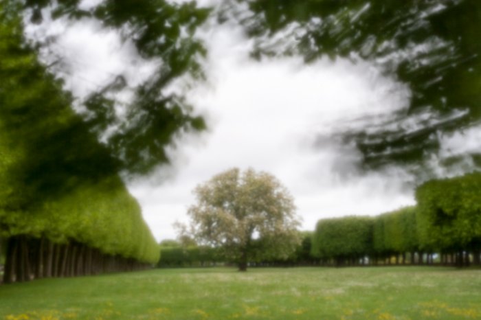 pinhole photograph