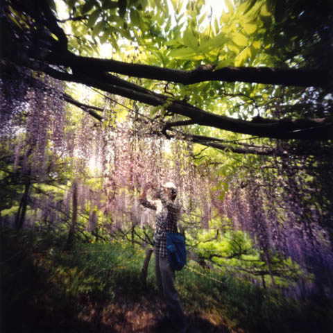 pinhole photograph