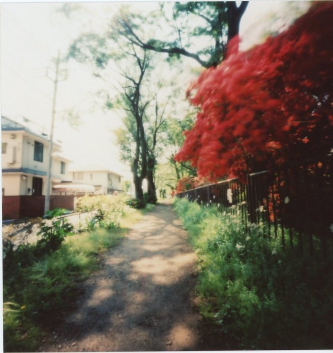 pinhole photograph