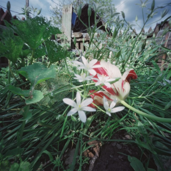 pinhole photograph