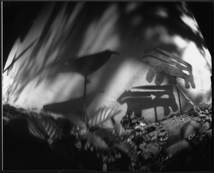 pinhole photograph