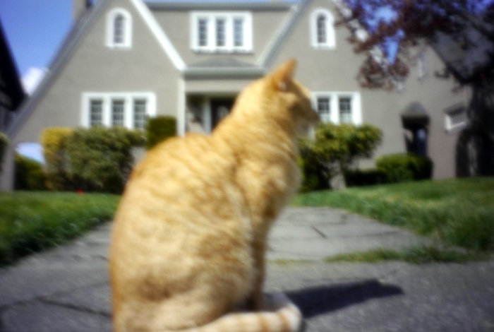 pinhole photograph