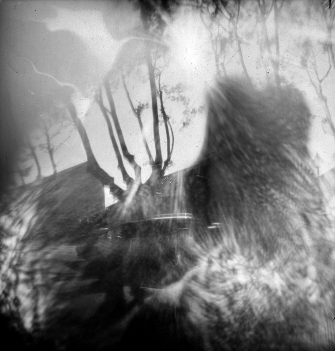 pinhole photograph