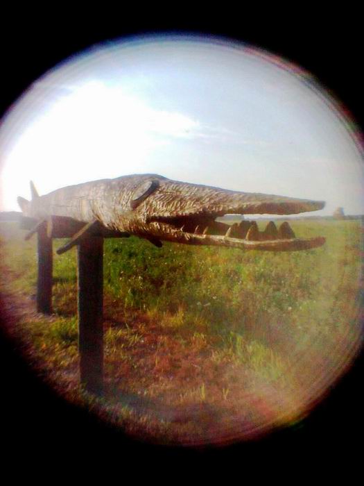 pinhole photograph