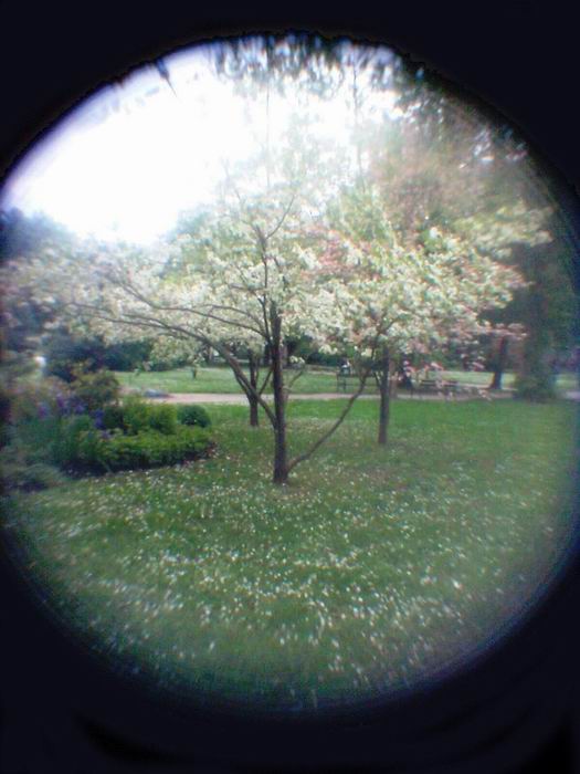 pinhole photograph