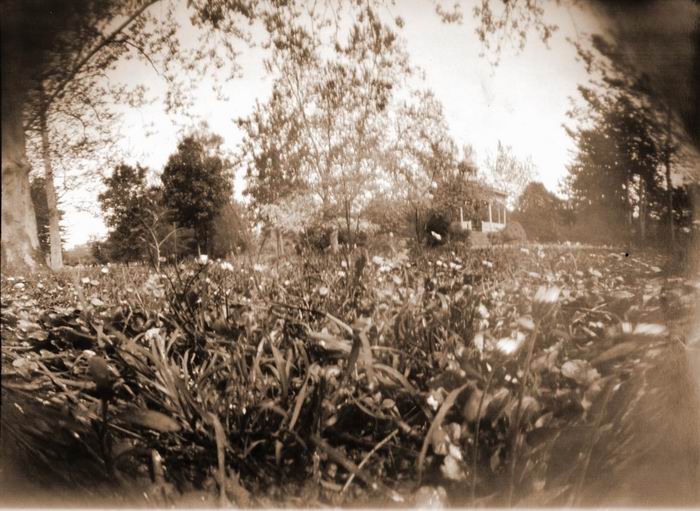 pinhole photograph