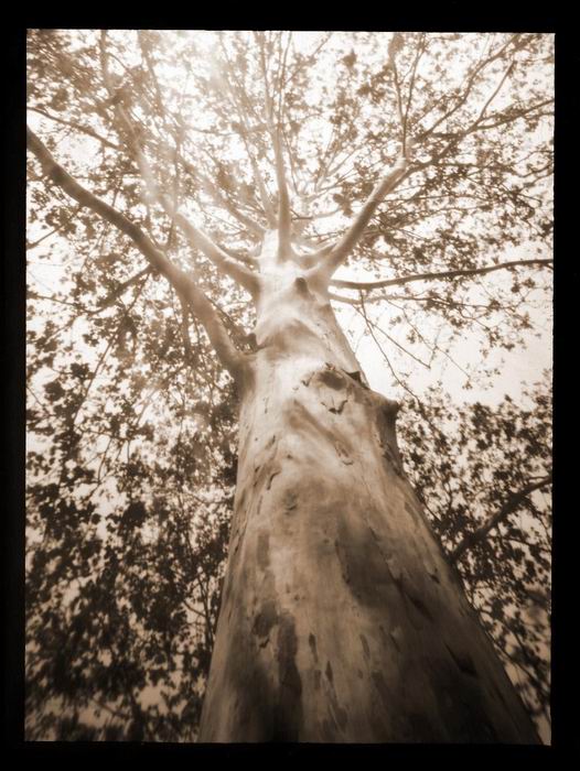 pinhole photograph