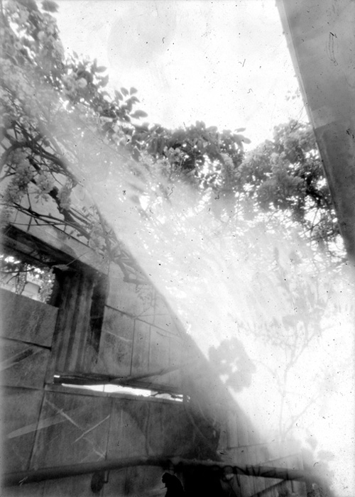 pinhole photograph