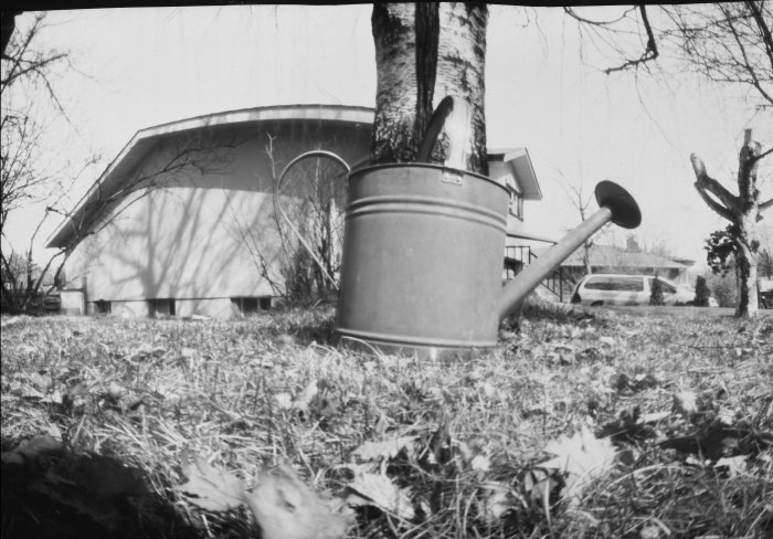 pinhole photograph