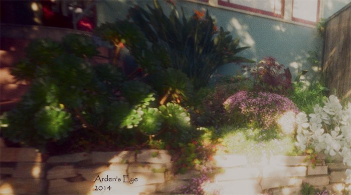 pinhole photograph