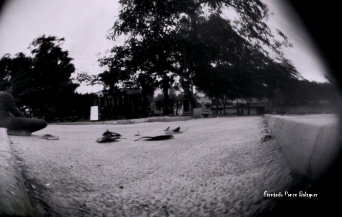 pinhole photograph