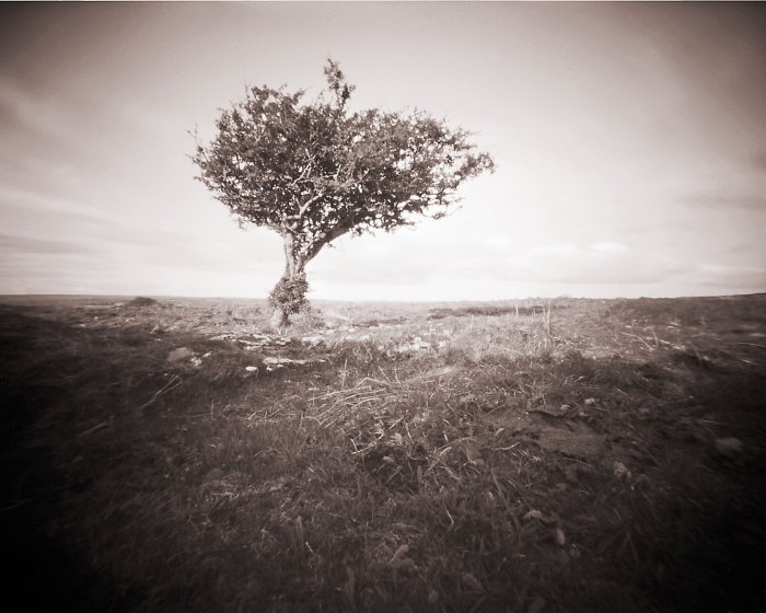 pinhole photograph