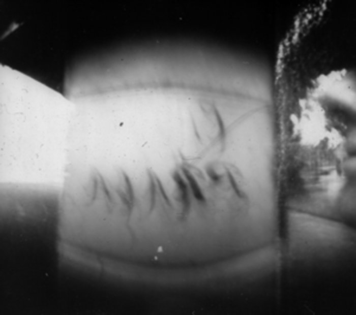 pinhole photograph