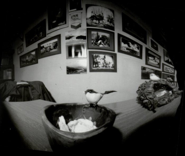 pinhole photograph