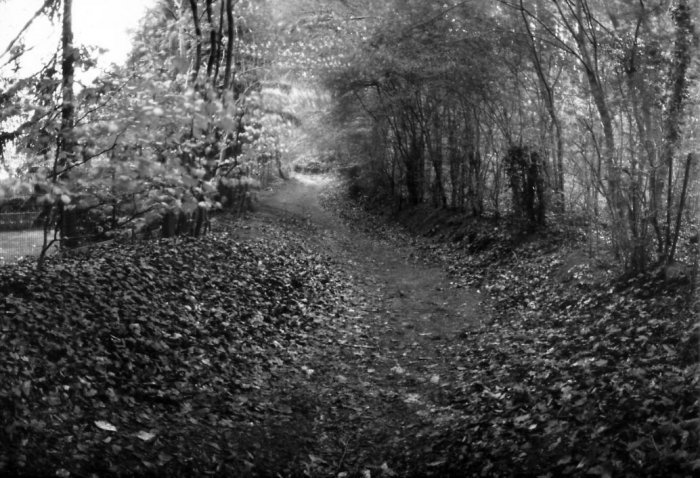 pinhole photograph