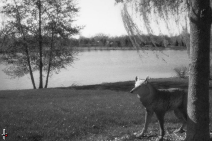 pinhole photograph