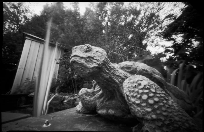 pinhole photograph