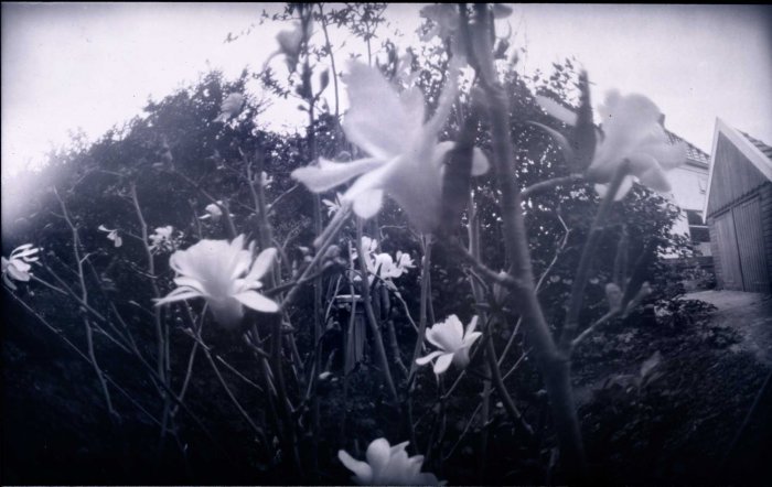 pinhole photograph