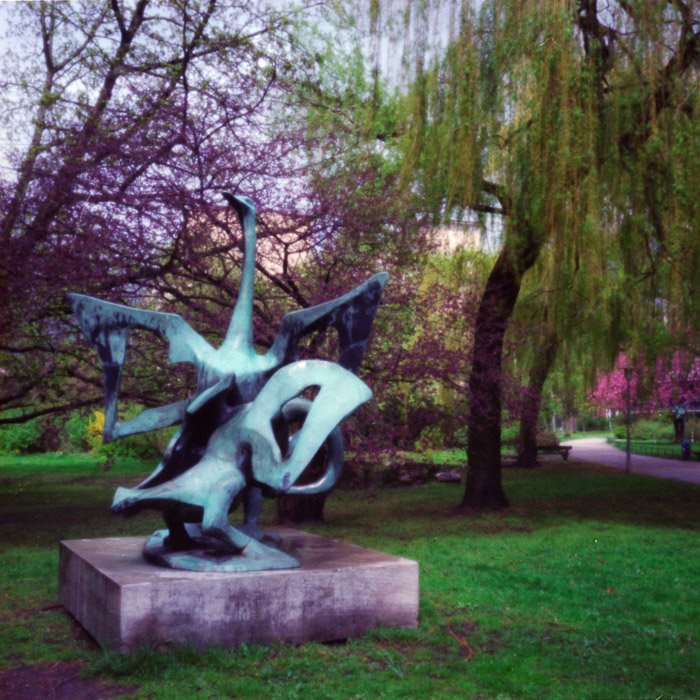 pinhole photograph