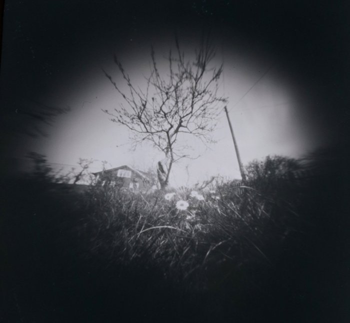 pinhole photograph