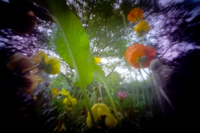 pinhole photograph