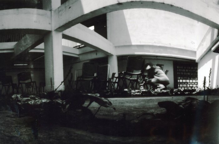 pinhole photograph