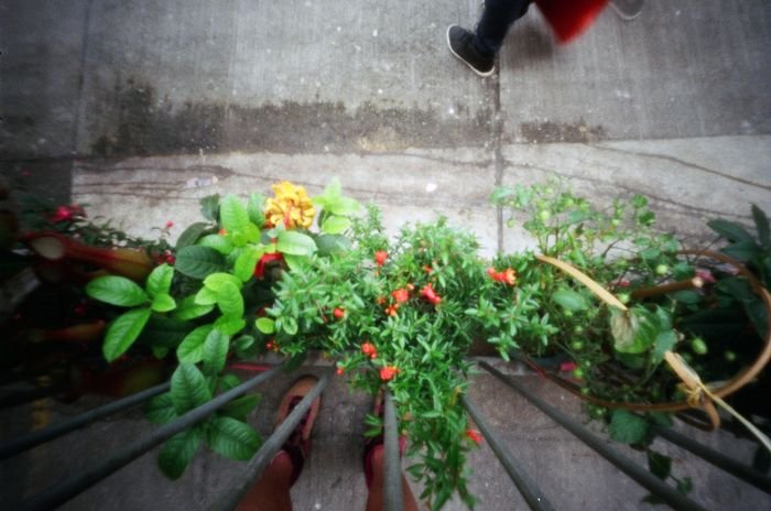 pinhole photograph
