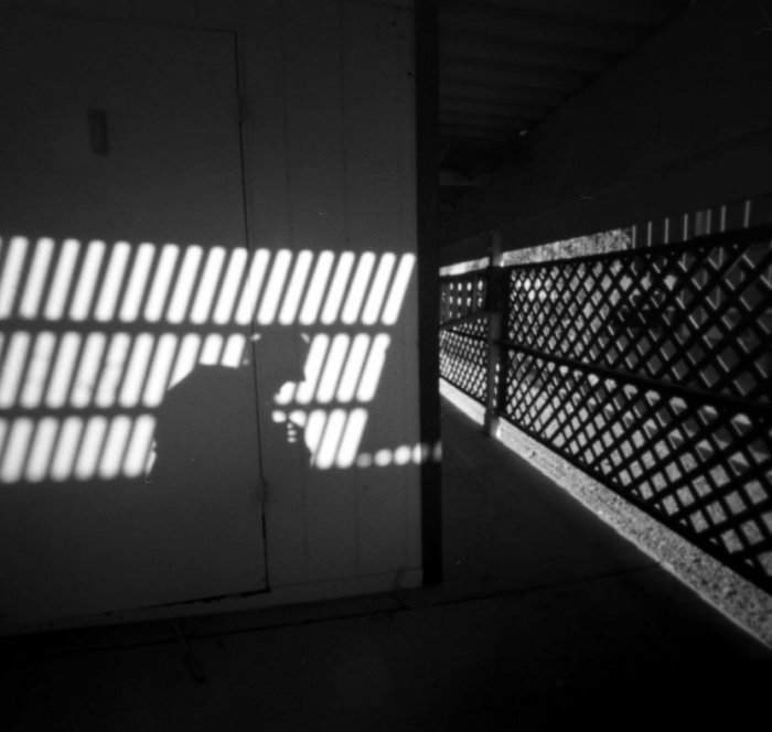 pinhole photograph