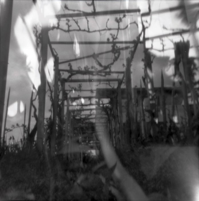 pinhole photograph