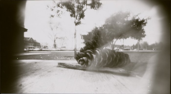 pinhole photograph