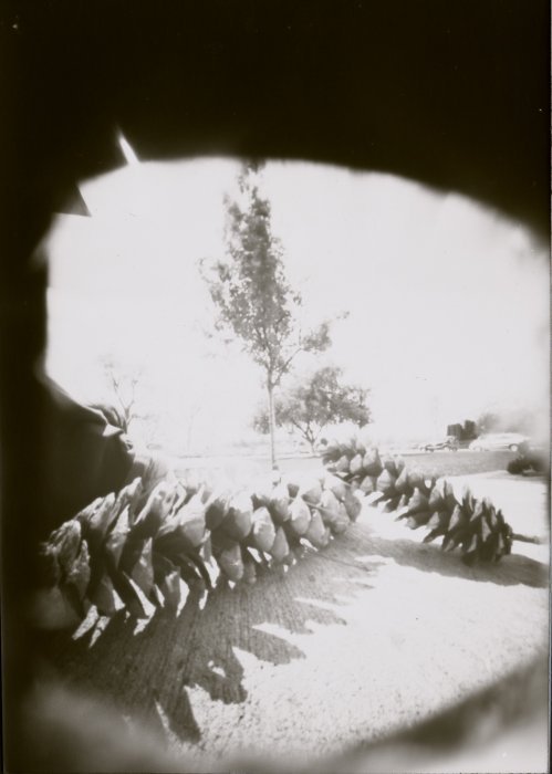pinhole photograph