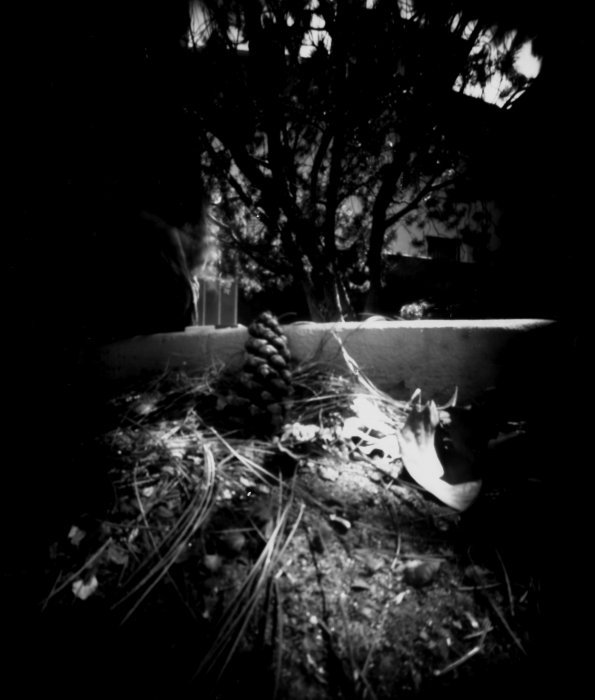 pinhole photograph