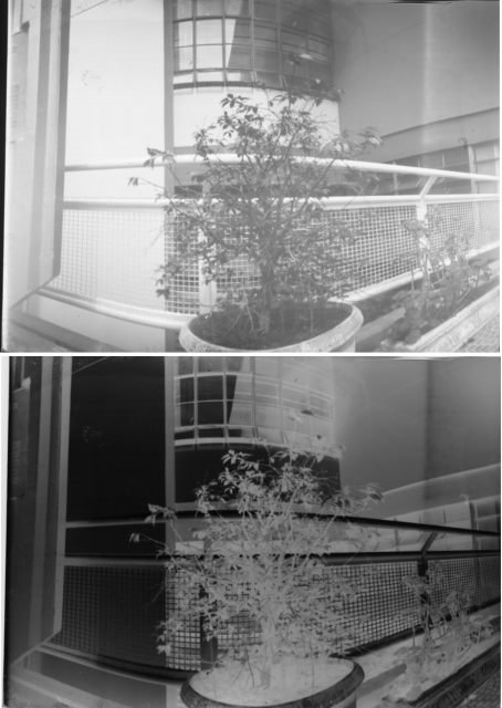 pinhole photograph