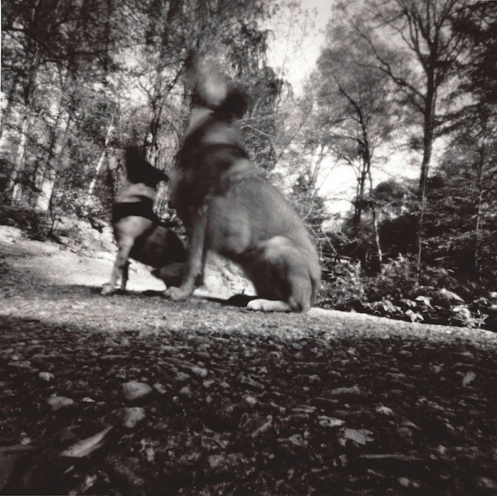 pinhole photograph