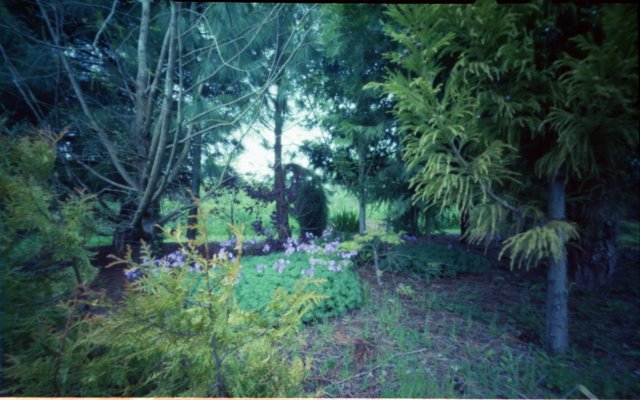 pinhole photograph