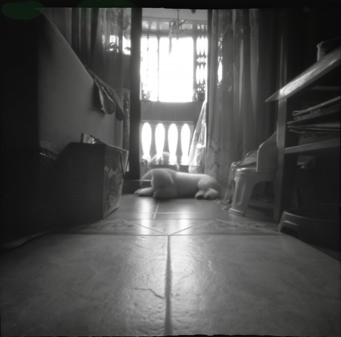 pinhole photograph